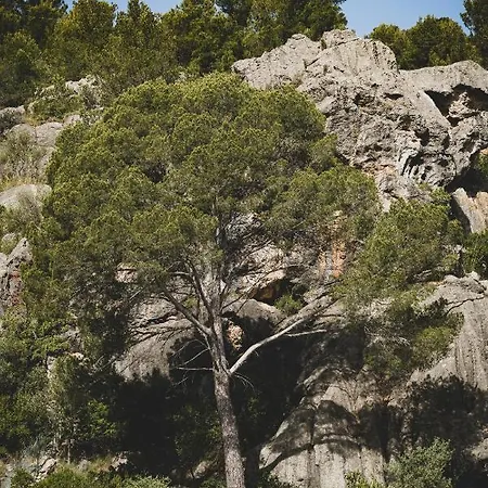 Pure Salt Port De Soller (Adults Only) 4* Port De Soller